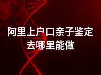 阿里上户口亲子鉴定去哪里能做