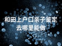 和田上户口亲子鉴定去哪里能做