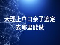 大理上户口亲子鉴定去哪里能做