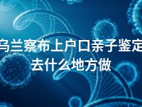 乌兰察布上户口亲子鉴定去什么地方做