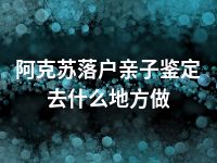 阿克苏落户亲子鉴定去什么地方做