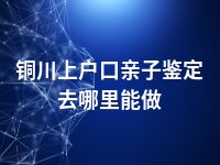 铜川上户口亲子鉴定去哪里能做