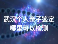 武汉个人亲子鉴定哪里可以检测