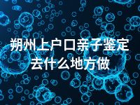 朔州上户口亲子鉴定去什么地方做