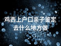 鸡西上户口亲子鉴定去什么地方做