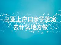 三亚上户口亲子鉴定去什么地方做