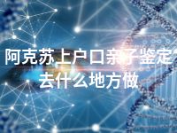 阿克苏上户口亲子鉴定去什么地方做