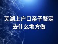 芜湖上户口亲子鉴定去什么地方做