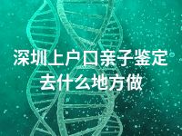 深圳上户口亲子鉴定去什么地方做