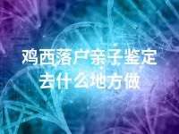 鸡西落户亲子鉴定去什么地方做