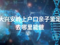 大兴安岭上户口亲子鉴定去哪里能做