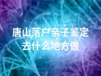 唐山落户亲子鉴定去什么地方做