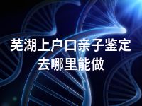 芜湖上户口亲子鉴定去哪里能做