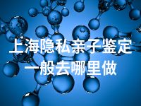 上海隐私亲子鉴定一般去哪里做