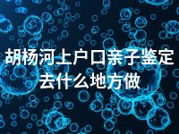 胡杨河上户口亲子鉴定去什么地方做