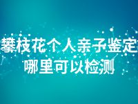 攀枝花个人亲子鉴定哪里可以检测