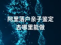 阿里落户亲子鉴定去哪里能做