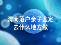 渭南落户亲子鉴定去什么地方做