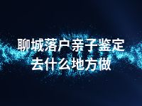 聊城落户亲子鉴定去什么地方做