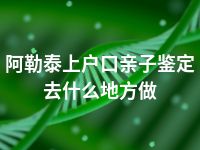 阿勒泰上户口亲子鉴定去什么地方做