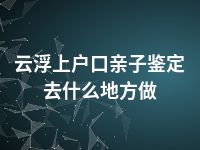 云浮上户口亲子鉴定去什么地方做