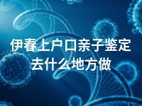 伊春上户口亲子鉴定去什么地方做