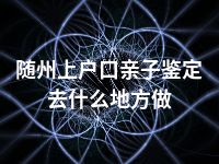 随州上户口亲子鉴定去什么地方做