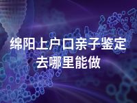 绵阳上户口亲子鉴定去哪里能做