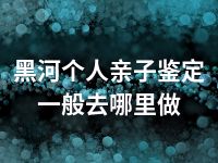 黑河个人亲子鉴定一般去哪里做