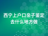 西宁上户口亲子鉴定去什么地方做