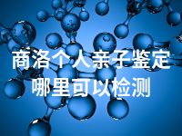 商洛个人亲子鉴定哪里可以检测