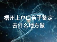 梧州上户口亲子鉴定去什么地方做