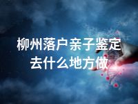 柳州落户亲子鉴定去什么地方做