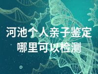 河池个人亲子鉴定哪里可以检测