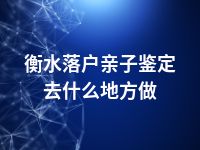 衡水落户亲子鉴定去什么地方做