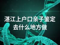 湛江上户口亲子鉴定去什么地方做