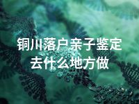 铜川落户亲子鉴定去什么地方做