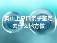 黄山上户口亲子鉴定去什么地方做