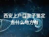 西安上户口亲子鉴定去什么地方做