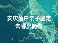 安庆落户亲子鉴定去哪里能做