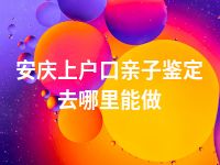 安庆上户口亲子鉴定去哪里能做