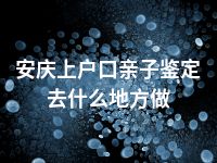 安庆上户口亲子鉴定去什么地方做