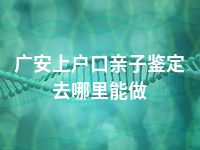 广安上户口亲子鉴定去哪里能做