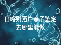 日喀则落户亲子鉴定去哪里能做