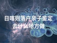 日喀则落户亲子鉴定去什么地方做