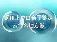 铜川上户口亲子鉴定去什么地方做