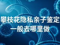 攀枝花隐私亲子鉴定一般去哪里做