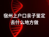 宿州上户口亲子鉴定去什么地方做