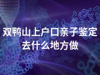 双鸭山上户口亲子鉴定去什么地方做