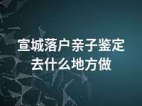 宣城落户亲子鉴定去什么地方做